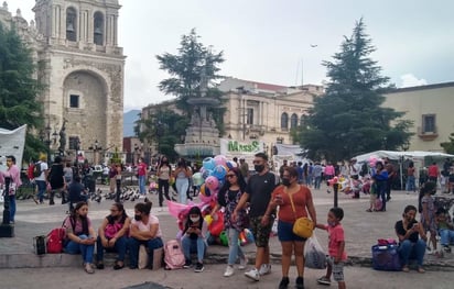 Sin facultades municipio para retirar a las “nenis”