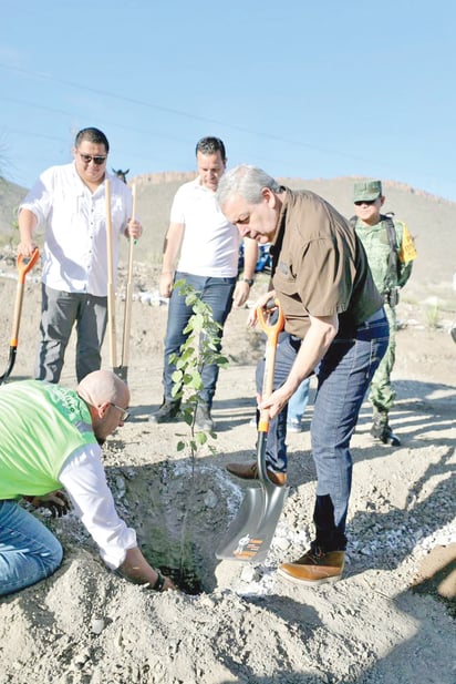 'Chema' Fraustro intensifica acciones de reforestación 