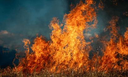 Incendios forestales en Hawái provocan desalojos; llamas destruyen destino turístico