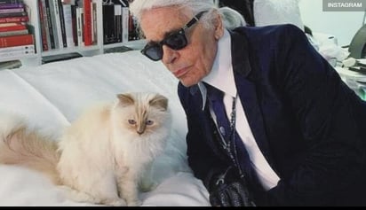 Diseñadores que aman a los gatos, e incluso los usan como inspiración: Karl Lagerfeld y otros diseñadores sienten una devoción especial por los felinos.