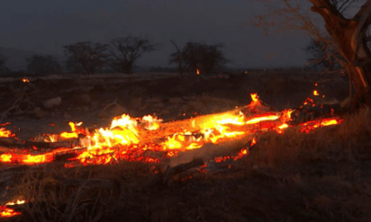 Suben a 55 los muertos en Hawái, donde habitantes afirman que no funcionaron las alarmas