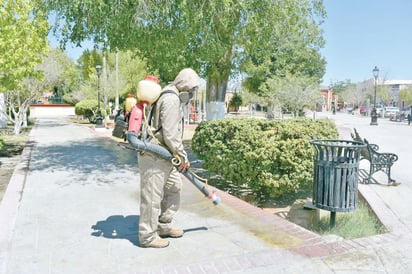 Presidencia Municipal de Cuatro Ciénegas trabaja en la fumigación para evitar plagas