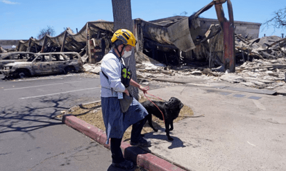 Sube la tasa de muertes debido a los incendios en Hawái