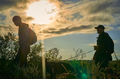 Fenómeno migratorio registra una marcada disminución en la llegada de migrantes