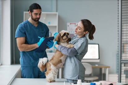 ¡Feliz Día del Veterinario! Aquí tienes algunas frases y mensajes para felicitar a los veterinarios en México