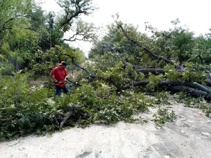 Las lluvias beneficiaron mucho a Allende