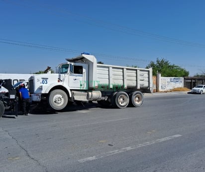 Torton embistió auto en la colonia Hipódromo