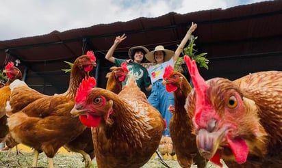 Descubre dónde queda 'La granja del borrego”, del influencer Carlos Alberto