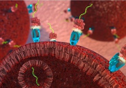 Primera terapia de microARN que retrasa el crecimiento del cáncer