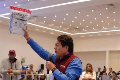 Delgado: No hemos detectado boletas falsas