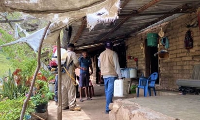 Brote de dengue se extiende a 8 municipios de Guanajuato, suman 80 casos en lo que va del año