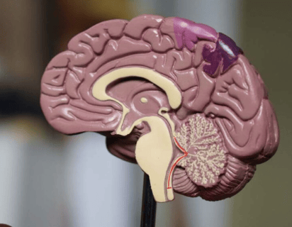 ¿Cuáles son los primeros signos del Alzheimer?