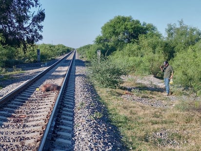 Hombre muere desmembrado al ser embestido por el tren 