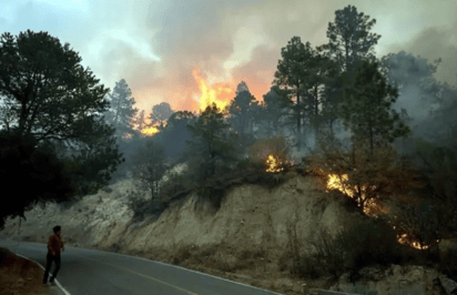 En peligro de incendios el 60% del territorio estatal