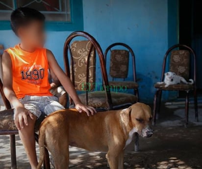 Niños con enfermedades dermatológicas por convivir con mascotas del hogar como perros y gatos