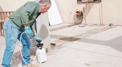 Escuela infestada de garrapatas es fumigada 