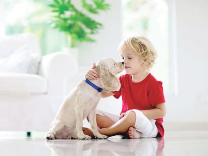 Niños se enferman de la piel por convivir con mascotas en el hogar como perros y gatos