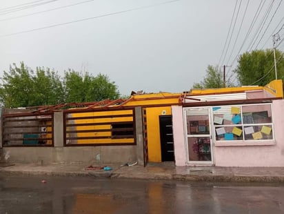 PC y Bomberos mantienen trabajos de retiro de árboles caídos