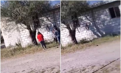 VIDEO: crueldad animal en Puebla; matan a perrito al colgarlo de un árbol