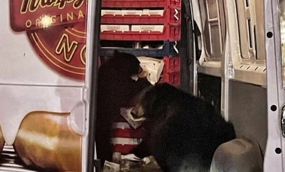 Osos saquean camioneta de donas que hacía entregas en Alaska