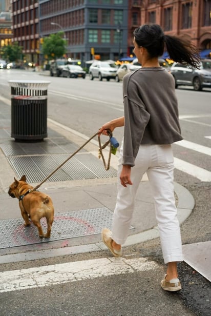 ¿Cuáles son las razas de perros que mejor acompañan a las mujeres?