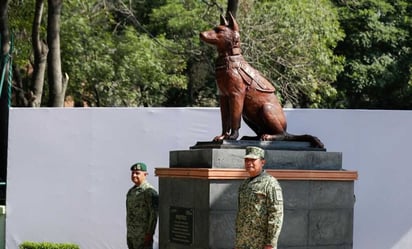 Video: Develan estatua de Proteo en Campo Marte, perro rescatista de la Sedena fallecido en Turquía