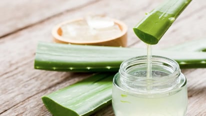 Cómo usar el aloe vera en el shampoo para fomentar el crecimiento del cabello: Uno de los mejores consejos de belleza que recibirás esta semana es la incorporación del aloe vera en tu champú.