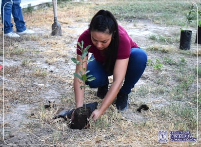 Estudiantes de FCA contribuyen al medio ambiente plantando árboles  