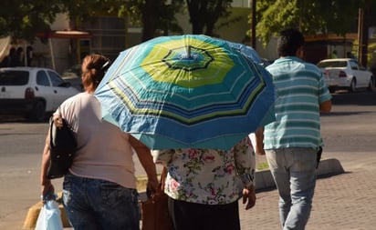 Mitos frecuentes durante épocas de calor extremo