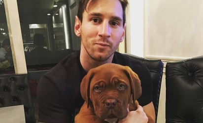 ¿Qué le pasó a Hulk, el perro mayor de Lionel Messi, que no puede vivir en Miami?