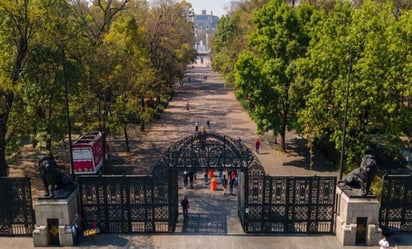 Destacan en Senado reforestación del Bosque de Chapultepec; disminuyeron contingencias ambientales, aseguran