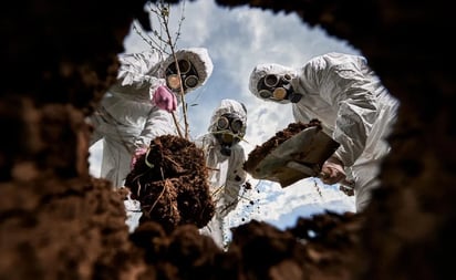 Científicos predicen cuándo se extinguirán los mamíferos de la tierra