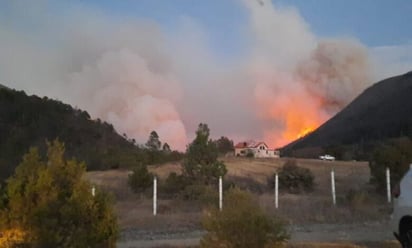 Congreso del Estado exhorta a prevenir incendios forestales de forma permanente