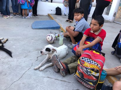 Primaria Suzanne llena de garrapatas y la SSa va a fumigar 