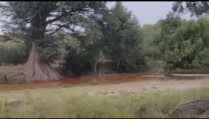 Habitantes temen riesgo a su salud por contaminación a río Sabinas y presa Don Martín