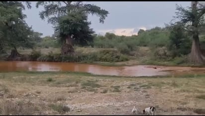 Exalcalde acusa que federación causa ecocidio en río Sabinas