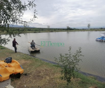 Desconocidos sacaron al cocodrilo 'Coco' de su cautiverio y pusieron en el lago; personal lo busca