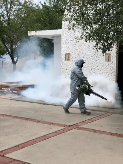 Intensifican campaña de fumigación para prevenir proliferación del mosquito  