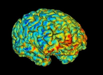 Inhibidores selectivos de la recaptación de serotonina y volumen cerebral