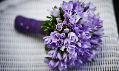 ¿Por qué regalar flores moradas este 9 de octubre y qué significa?