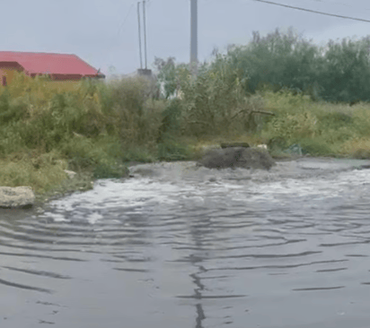 La planta tratadora de agua sigue generando problemas ante lluvias