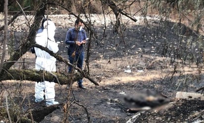 Dan 45 años de cárcel a sujeto por matar a golpes a su madre y calcinar su cadáver