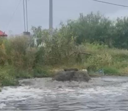 Vecinos de la colonia Feste siguen molestos por la situación de la planta tratadora de agua 