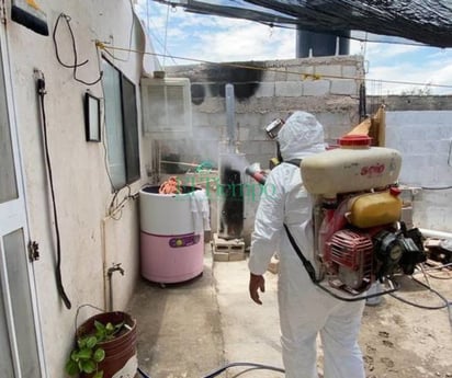 En una casa infestada de garrapatas vivía el niño que contrajo rickettsia 