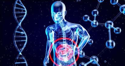 Un nuevo test detecta el riesgo de desarrollar cirrosis hepática en la población sana