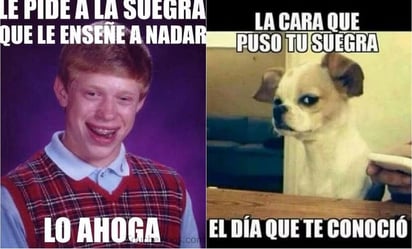 Día Mundial de la Suegra: los mejores memes para celebrar este 26 de octubre: 
