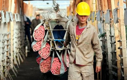 Expertos critican regreso de cuota sindical