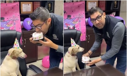 Alcalde de Ensenada protagoniza bochornoso momento con su mascota: “¿por qué no me dijeron?”