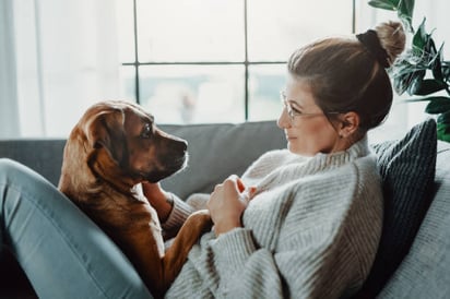 ¿Vives sola? Raza de perros que son más protectoras