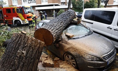 Tormenta Ciarán deja un muerto y rachas de viento récord en Francia